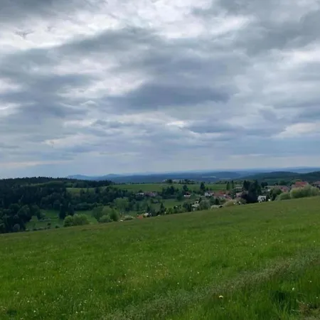 Forest-fringed Comfort Friedrichshohe (Harz)
