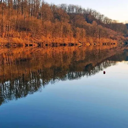 Dom wakacyjny Forest-fringed Comfort Friedrichshohe (Harz)