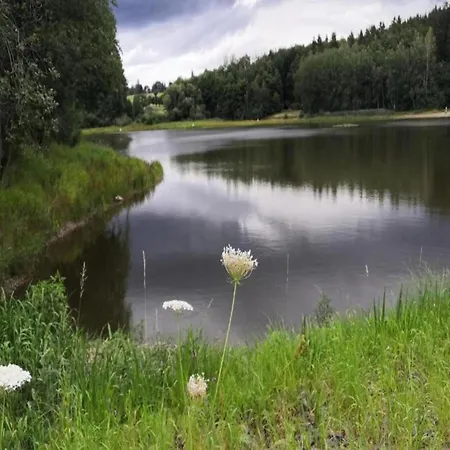 Forest-fringed Comfort Dom wakacyjny Friedrichshohe (Harz)