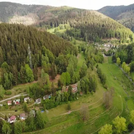 Forest-fringed Comfort Friedrichshohe (Harz)