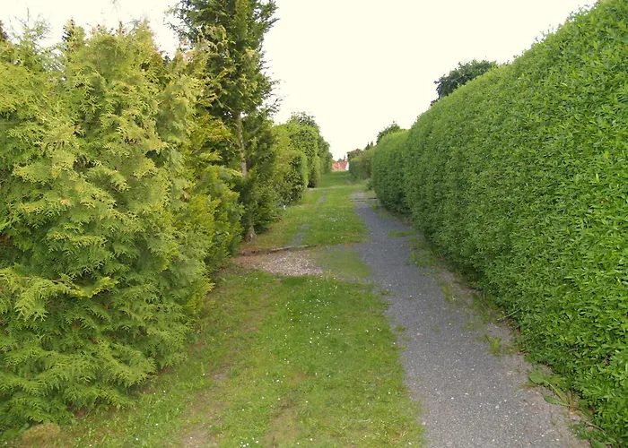 بيت للعطل Forest-fringed Comfort