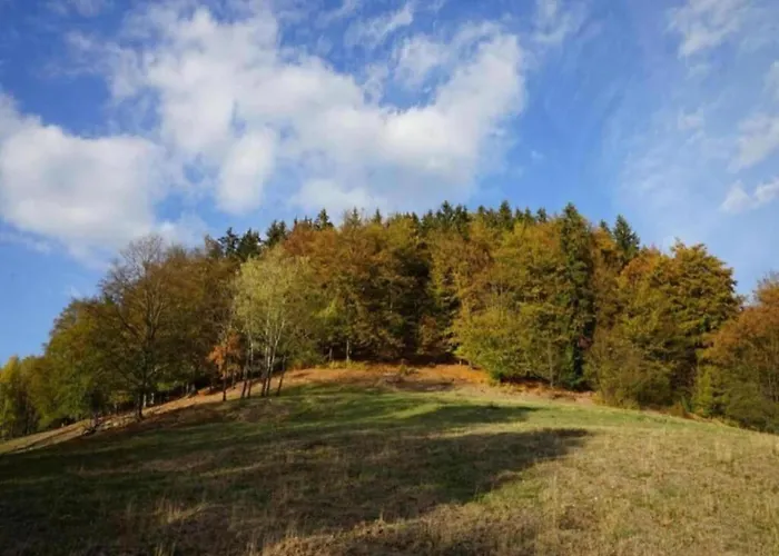 Forest-fringed Comfort