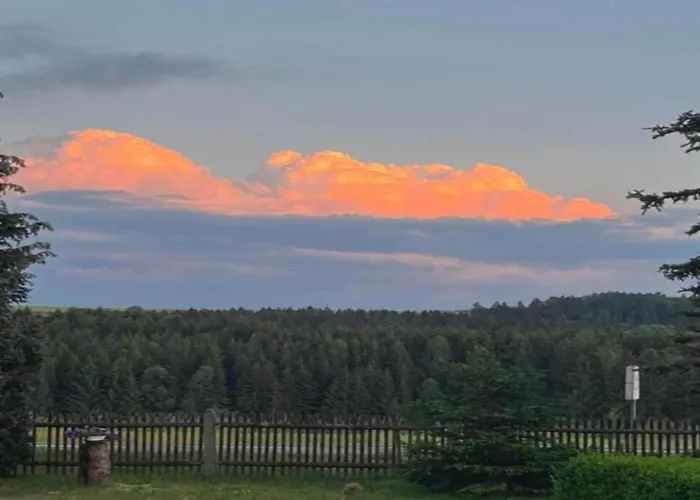 Forest-fringed Comfort بيت للعطل