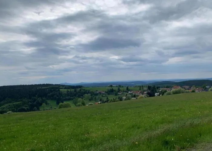 Forest-fringed Comfort Friedrichshohe (Harz)