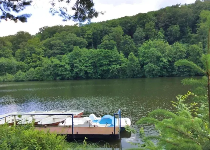 Forest-fringed Comfort *