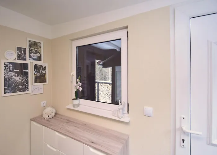 Forest-fringed Comfort Friedrichshohe (Harz)