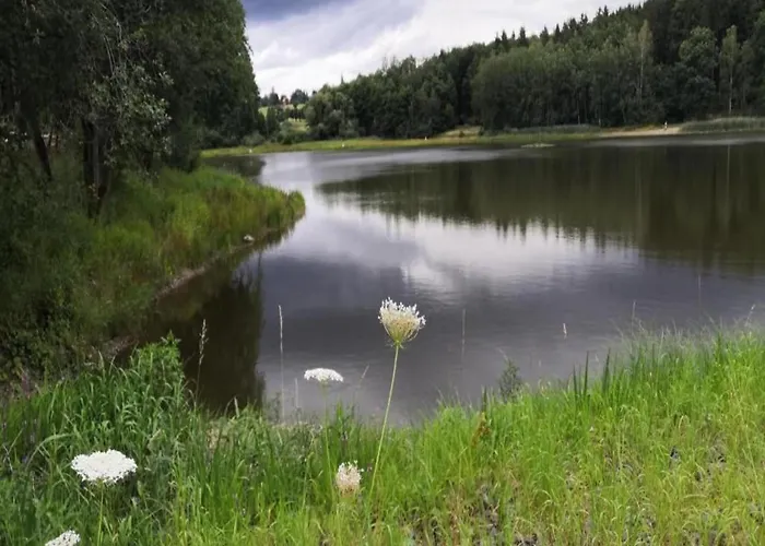 Forest-fringed Comfort بيت للعطل Friedrichshohe (Harz)