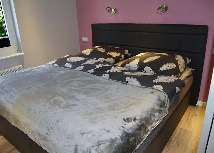 Forest-fringed Comfort Friedrichshohe (Harz)